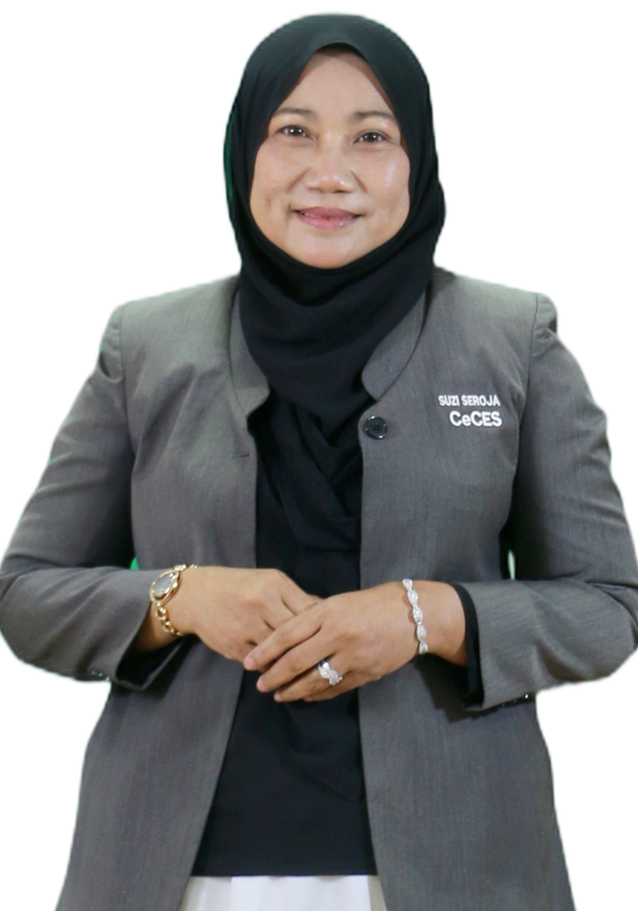Ir. Ts. Dr. Suzi Seroja Binti Sarnin